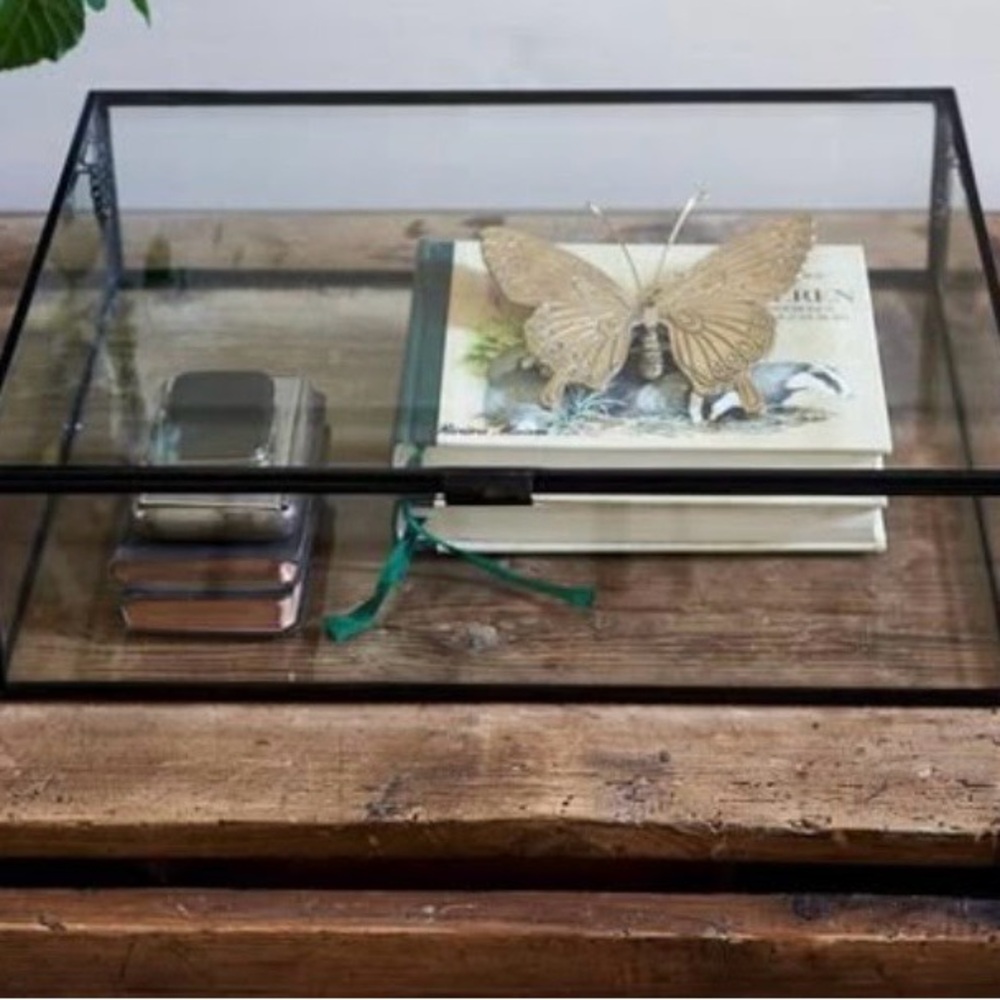 Glass Display Box with Black Frame